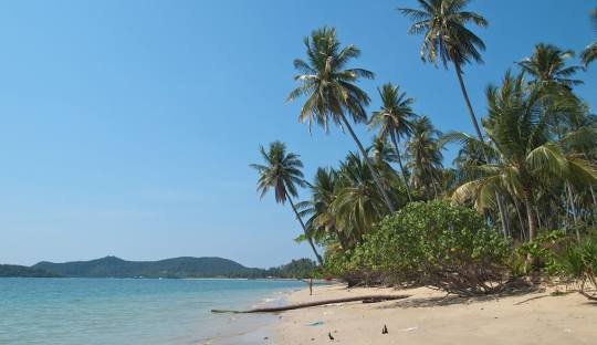 Koh Mak Travel Guide – Thailand’s Hidden Eco-Island of Peace, Coconut Farms, and Crystal Waters