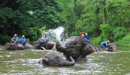 Lampang Province Travel Guide – Thailand’s Horse-Carriage City of Temples, History & Mountain Charm